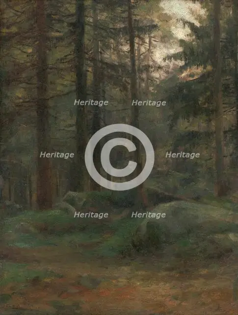 Interior of Coniferious Woods with Rocks, 1895-1900. Creator: Ludovit Cordak.