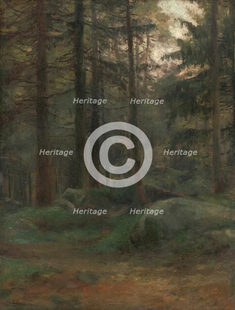 Interior of Coniferious Woods with Rocks, 1895-1900. Creator: Ludovit Cordak.