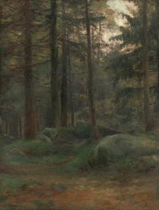 Interior of Coniferious Woods with Rocks, 1895-1900. Creator: Ludovit Cordak