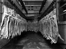 Interior of a butchery factory, Rawmarsh, South Yorkshire, 1955. Creator: Michael Walters