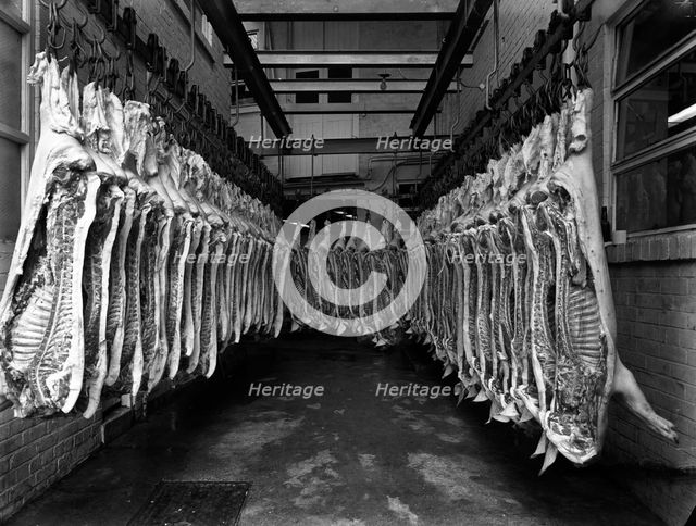 Interior of a butchery factory, Rawmarsh, South Yorkshire, 1955. Creator: Michael Walters.
