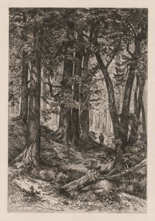 Interior of a California Forest (after Thomas Moran (American, 1837-1926)),, 1888. Creator: Mary Nimmo Moran (American, 1842-1899)