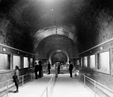 Interior of aquarium, Belle Isle, Detroit, Mich., between 1890 and 1910. Creator: Unknown
