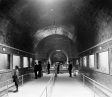 Interior of aquarium, Belle Isle, Detroit, Mich., between 1890 and 1910. Creator: Unknown