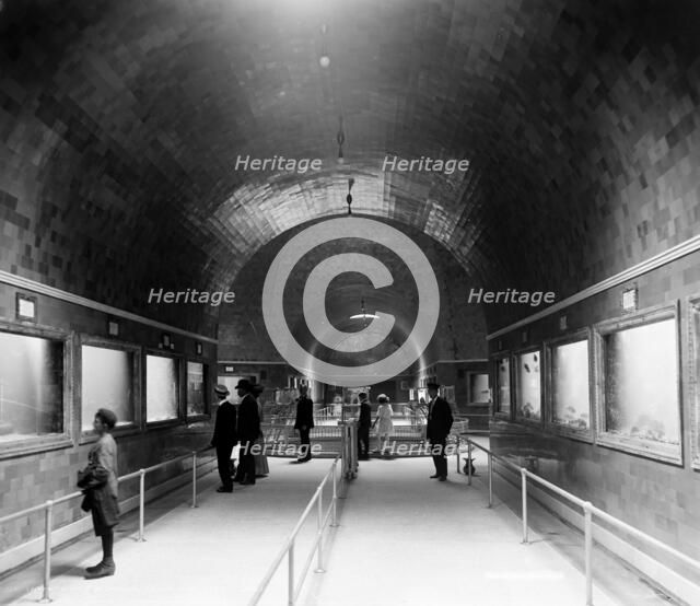 Interior of aquarium, Belle Isle, Detroit, Mich., between 1890 and 1910. Creator: Unknown.