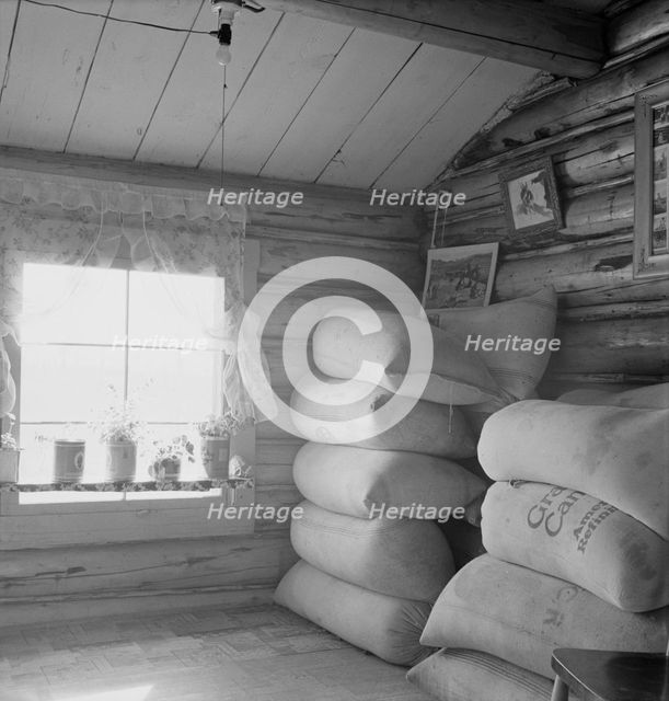 Interior of farmer's two-room log home, FSA borrower, Boundary County, Idaho, 1939. Creator: Dorothea Lange.