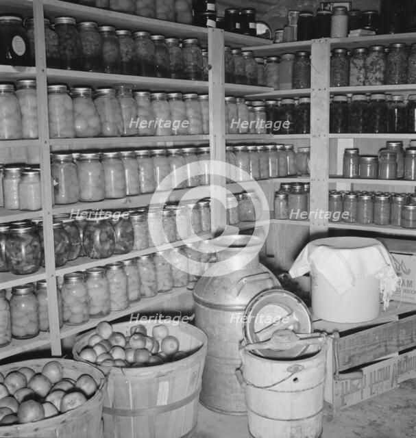 Interior of Mrs. Botner's storage cellar, Nyssa Heights, Malheur County, Oregon, 1939. Creator: Dorothea Lange.