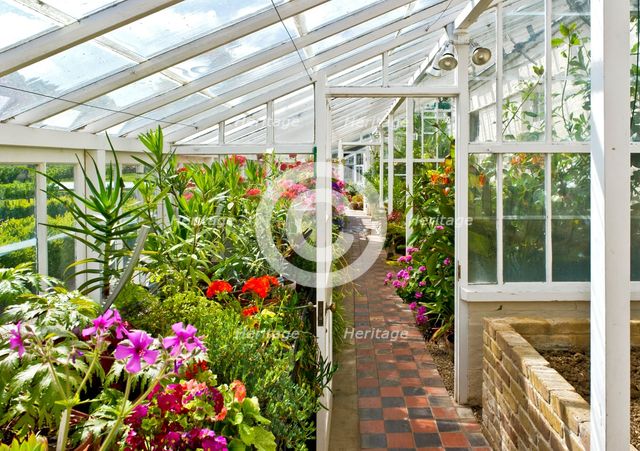 Interior of the greenhouse in the gardens of Walmer Castle, Kent, c1980-c2017. Artist: Historic England Staff Photographer.