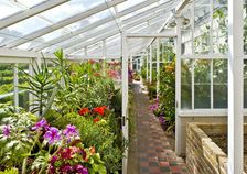 Interior of the greenhouse in the gardens of Walmer Castle, Kent, c1980-c2017. Artist: Historic England Staff Photographer