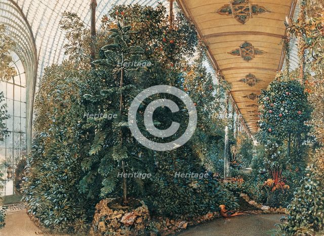 Interior of the Palm House of Lednice Palace. Artist: Alt, Rudolf von (1812-1905)