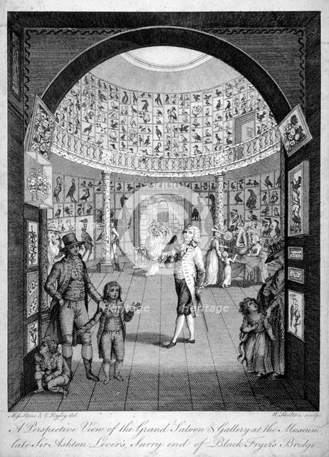 Interior view of the Leverian Museum, Albion Place, Southwark, London, c1795.                      Artist: William Skelton