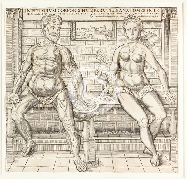 Interiorum corporis humani partium viva delineatio, from the second edition of the..., 1555/59. Creator: Monogrammist R. S..