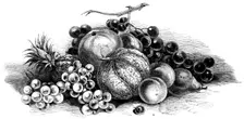 International exhibition of fruits, vegetables, etc., in the Horticultural Society's gardens, 1862. Creator: Unknown