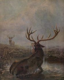 Interrupted 1875, (1938). Artist: Joseph Wolf