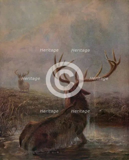 'Interrupted', 1875, (1938). Artist: Joseph Wolf.