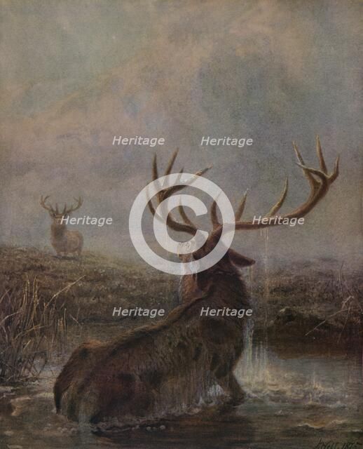 'Interrupted', 1875, (1938). Artist: Joseph Wolf.