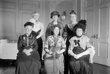 Intl. Anti-Vivisection Congress - Back Row: Mrs. Clinton Pichney Farrell; Mrs. L. B. Hender..., 1913 Creator: Harris & Ewing