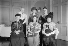 Intl. Anti-Vivisection Congress - Back Row: Mrs. Clinton Pichney Farrell; Mrs. L. B. Hender..., 1913 Creator: Harris & Ewing