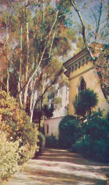 Intriguing Pathways c1935