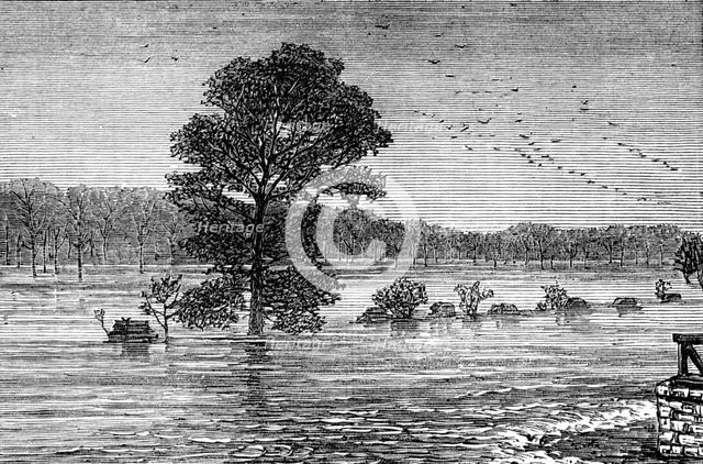 Inundations in the United States: Cumberland River, from the railroad bridge, 1874. Creator: Unknown.