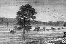 Inundations in the United States: Cumberland River, from the railroad bridge, 1874. Creator: Unknown