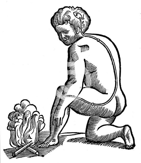 Involuntary movement, Descartes' idea of how impulses from the limbs reach the brain, 1692. Artist: Unknown