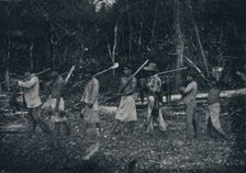 Indios Guaranys, voltando de uma caþada 1895. Artist: Francisco Henszler