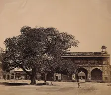 India: a tree in the grounds of a palace under which three hundred Europeans were murdered, c1858. Creator: Felice Beato