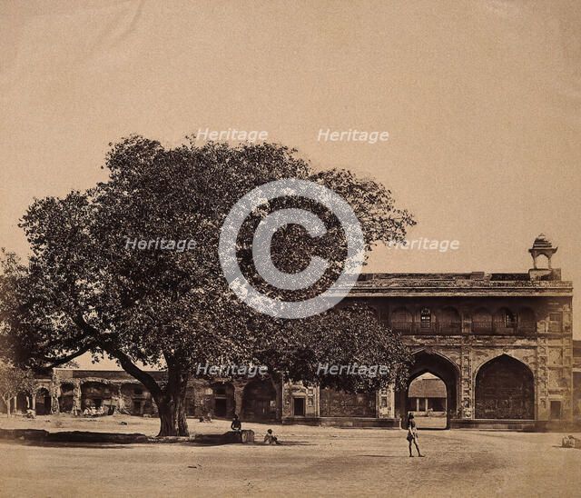 India: a tree in the grounds of a palace under which three hundred Europeans were murdered, c1858. Creator: Felice Beato.