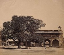 India: a tree in the grounds of a palace under which three hundred Europeans were murdered, c1858. Creator: Felice Beato
