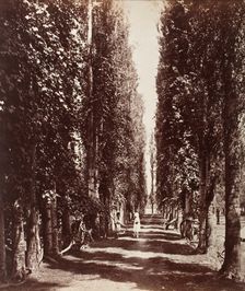 India, Printed 1868. Creator: Samuel Bourne
