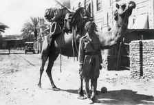 Indian camel trooper, Baghdad, 1918