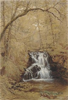 Indian Falls, Indian Brook, Cold Springs, New York, 1850. Creator: William Rickarby Miller