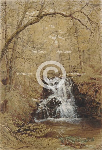 Indian Falls, Indian Brook, Cold Springs, New York, 1850. Creator: William Rickarby Miller.