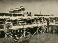 Indian Horse Transport for the Tigris Force First World War, 1916, (c1920). Creator: Unknown