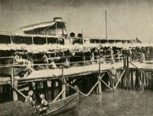 Indian Horse Transport for the Tigris Force First World War, 1916, (c1920). Creator: Unknown
