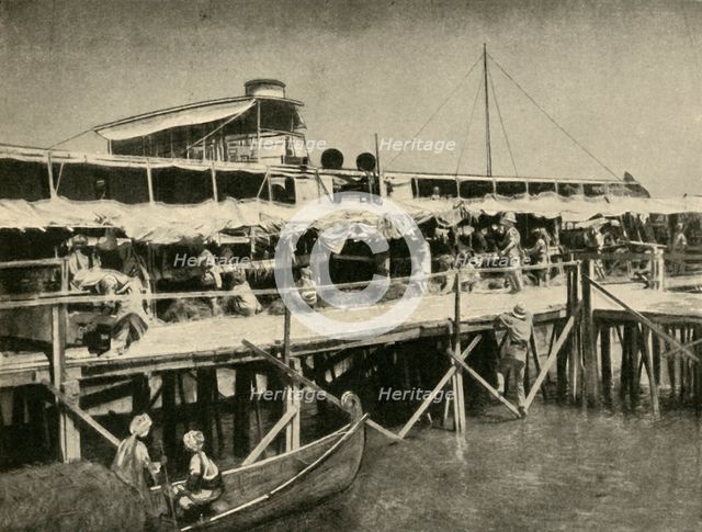 'Indian Horse Transport for the Tigris Force', First World War, 1916, (c1920). Creator: Unknown.