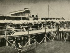 Indian Horse Transport for the Tigris Force First World War, 1916, (c1920). Creator: Unknown
