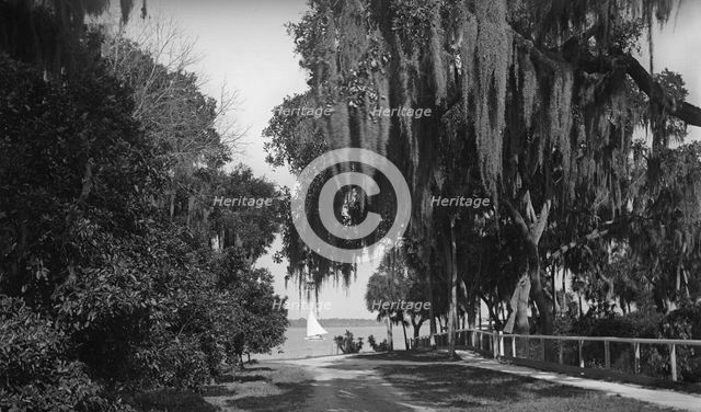 Indian River at Rockledge, Fla., c1901. Creator: Unknown.
