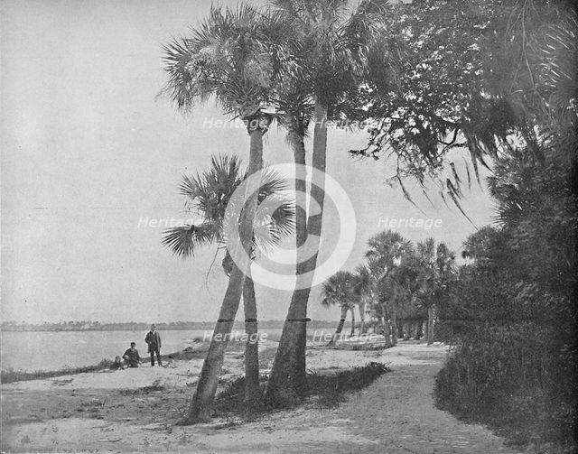'Indian River, Florida', c1897. Creator: Unknown.