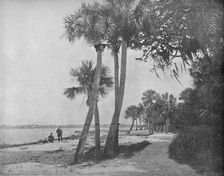Indian River, Florida c1897. Creator: Unknown