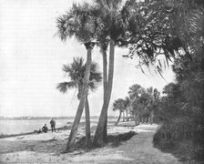 Indian River, Florida, USA, c1900. Creator: Unknown