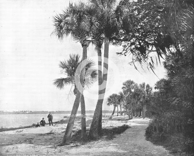 Indian River, Florida, USA, c1900. Creator: Unknown.