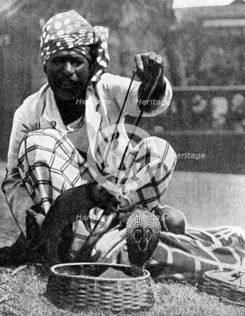 Indian snake charmer with mongoose and cobra, 1936. Artist: Fox