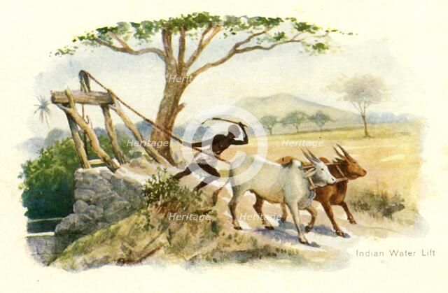 'Indian Water Lift'.  Creator: Unknown.