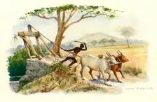 Indian Water Lift Creator: Unknown