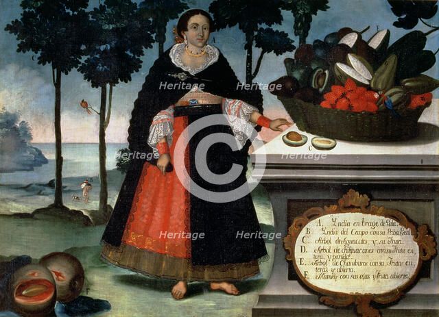 Indian woman in gala dress. Oil by Vicente Alban, preserved in the Museum of America in Madrid.