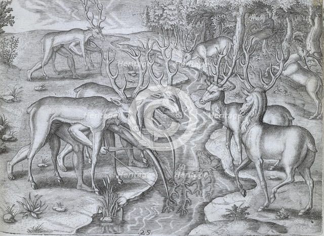 Indians using deer skins to hunt deer, 1591. Creator: Theodor de Bry.