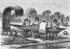 'Indians mashing Turtle Eggs; The Fresh-water Turtle of the Amazons 1875. Creator: Unknown