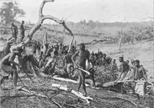 Indigenes de la Rhodesia defrichant une foret pour l'etablissement d'une plantation de..., 1914. Creator: Unknown